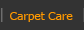 Carpet Care