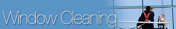 windowcleaning