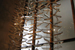 
A crystal chandelier designed by the Barnes’ architects hangs in the stairway near entry services at the Barnes Foundation Philadelphia campus. The facility staff and cleaning crew developed a unique duster specifically to clean it. 
