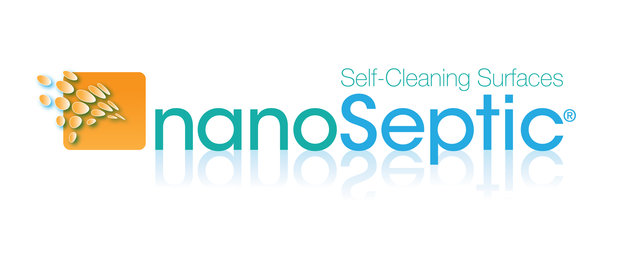 nano septic