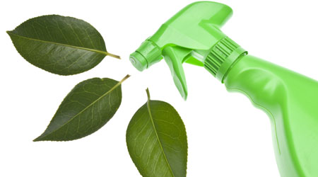 Defining Green Cleaning And Why It’s Important