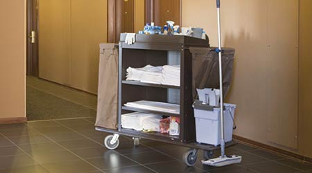 Cleaning Hacks, Cleaning Cart