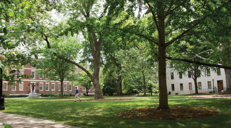Steps To Implementing Green Cleaning Programs