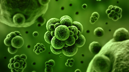 Superbug Infections Are On The Rise