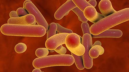 Cleaning Results In Decline Of C.diff Infections