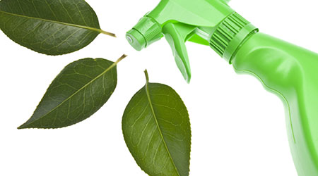 Green Cleaning's Effect On Indoor Air Quality