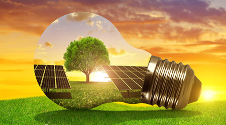Report Supports Sustainable Initiatives In K-12 Schools
