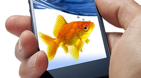 Using Technology To Manage Water Consumption