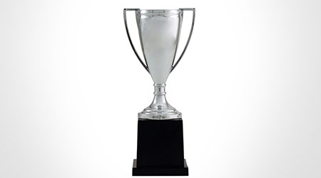 Distributors Choose ProTeam Products For Award