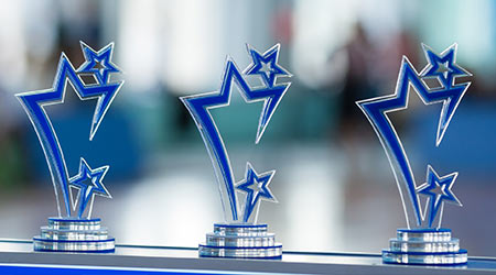 Network Services Company Honors Distributor Performance