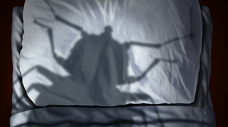 Bed bug fear or bedbug worry concept as a cast shadow of a a parasitic insect pest resting on a pillow and sheets