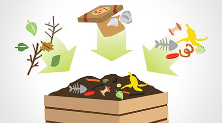 compost bin with organic material