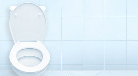 Toilet in the bathroom