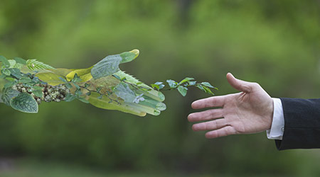 Hand of a businessman reach out towards hand symbolizing nature