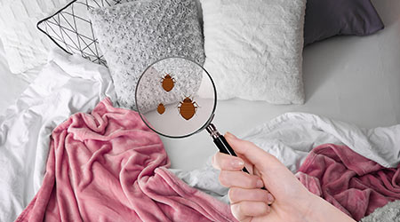 Woman with magnifying glass detecting bed bugs in bedroom