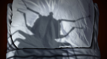 Bed bug fear or bedbug worry concept as a cast shadow of a a parasitic insect pest resting on a pillow and sheets as a symbol and metaphor for the anxiety as a 3D illustration.
