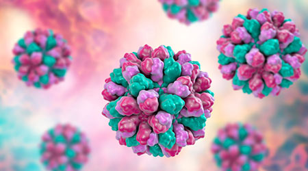 Norovirus, Norwalk virus, also called winter vomiting bug, RNA virus from Caliciviridae family, causative agent of gastroenteritis characterized by diarrhea, vomiting, stomach pain. 3D illustration