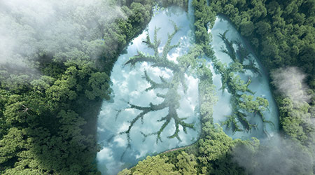 Green lungs of planet Earth. 3d rendering of a clean lake in a shape of lungs in the middle of virgin forest. Concept of nature and rainforest protection, nature breathing and natural co2 reduction. P