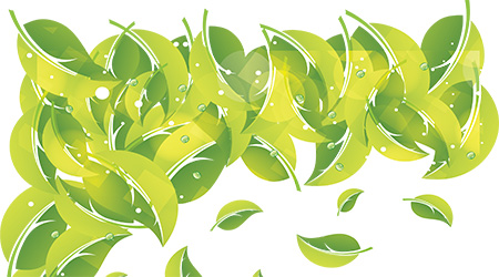 sustainability