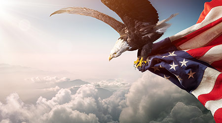 Eagle With American Flag Flies In Freedom