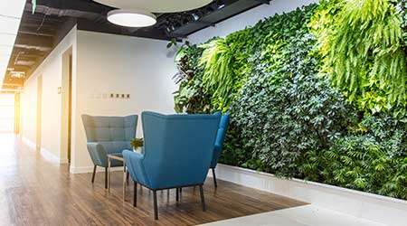 Embracing Green Offices