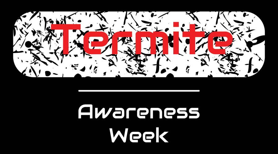 Vector illustration on the theme of Termite Awareness Week