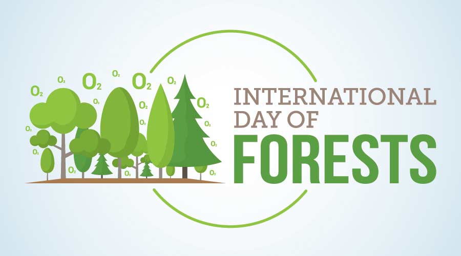 International Day of Forest Vector Illustration.