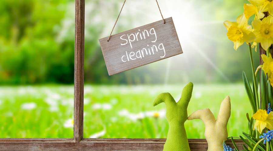 Window, Green Meadow, Spring Cleaning