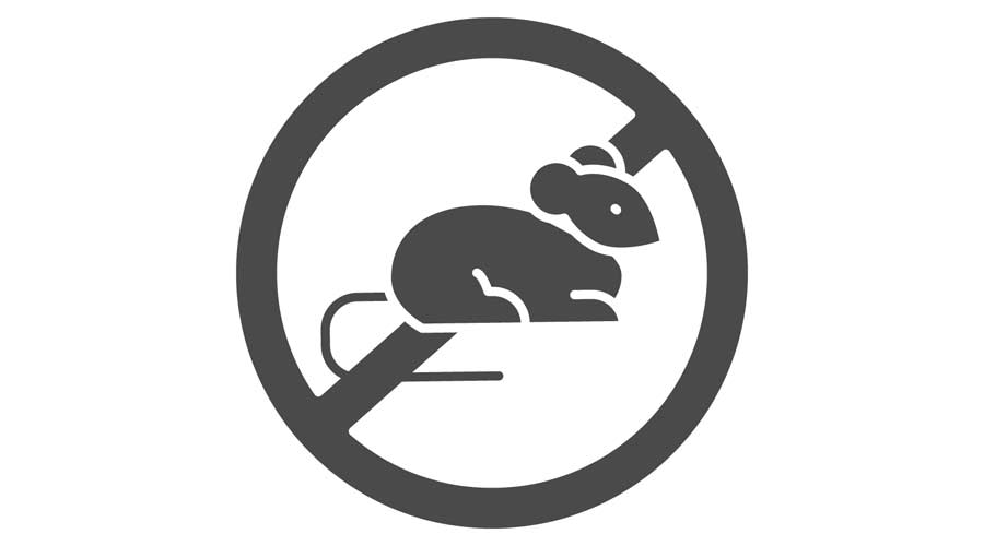 No pests color line icon. Pictogram for web page, mobile app, promo. UI UX GUI design element. Editable stroke.