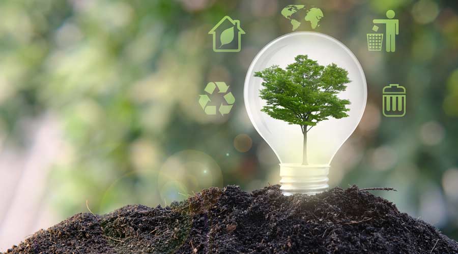 tea saponin pesticide manufacturer tea saponin pesticide manufacturer