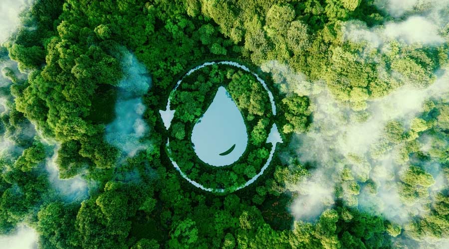 A water droplet shaped lake in the middle of untouched nature. An ecological metaphor for nature's ability to hold and purify water. 3d rendering.