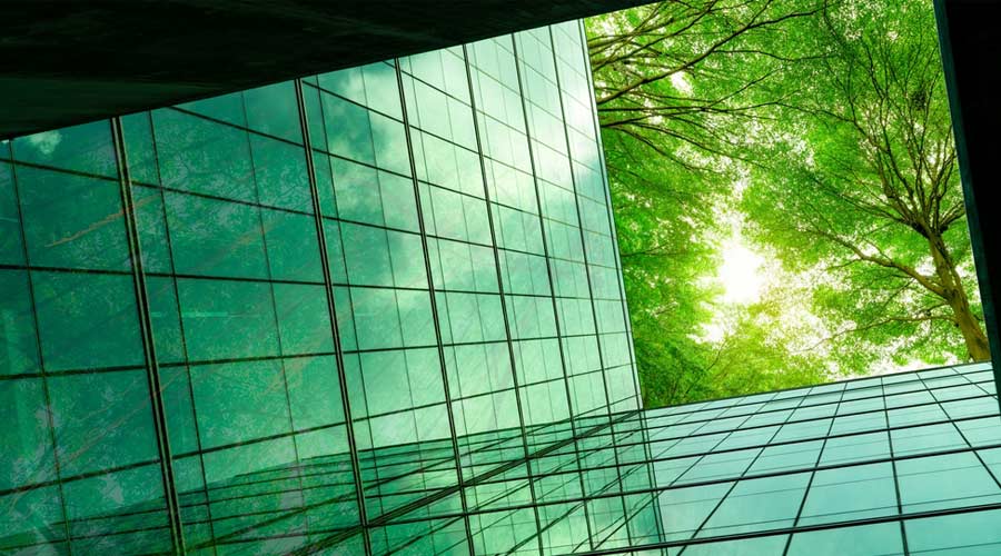 Eco-friendly building in the modern city. Green tree branches with leaves and sustainable glass building for reducing heat and carbon dioxide. Office building with green environment. Go green concept.