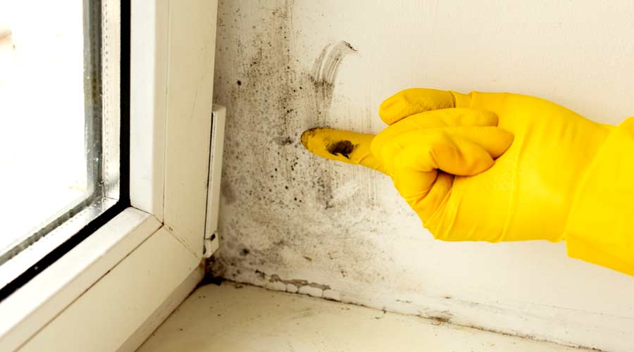 A man in a rubber glove points to the mold. Plastic window and window sill in mold and dirt. Fungus and dampness at the wet window.