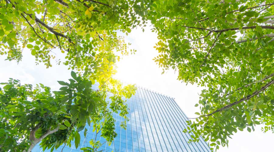 Low angle looking up view of a modern downtown office building surrounded by greenery tree, the surface window outside reflecting clear blue sky. Fresh air, Green living city, Air quality concept.