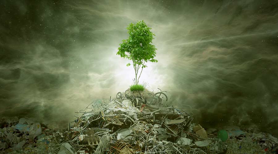 Green concept as a leaf tree on top of mountain heap of garbage with roots as an environment or conservation icon for waste management or new healthy beginning.