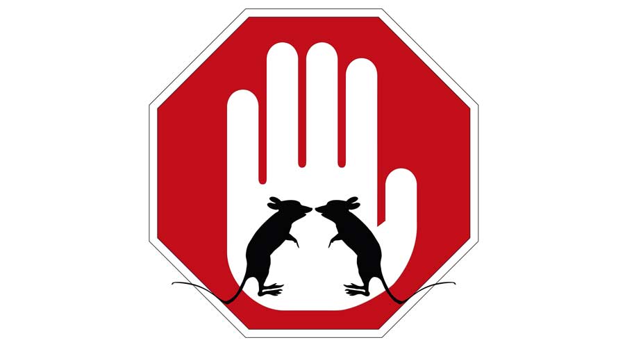 Stop mice and rats. Sign and concept for mice and rat control program