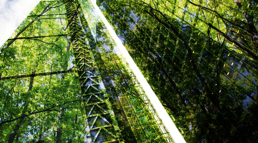 green city - double exposure of lush green forest and modern skyscrapers windows