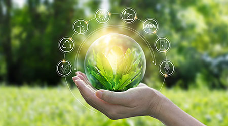 Hands protecting globe of green tree on tropical nature summer background, Ecology and Environment concept
