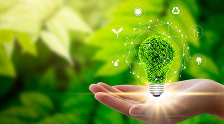 Hand holding light bulb against nature on green leaf with icons energy sources for renewable, sustainable development. Technology ,Environment ,Ecology concept.