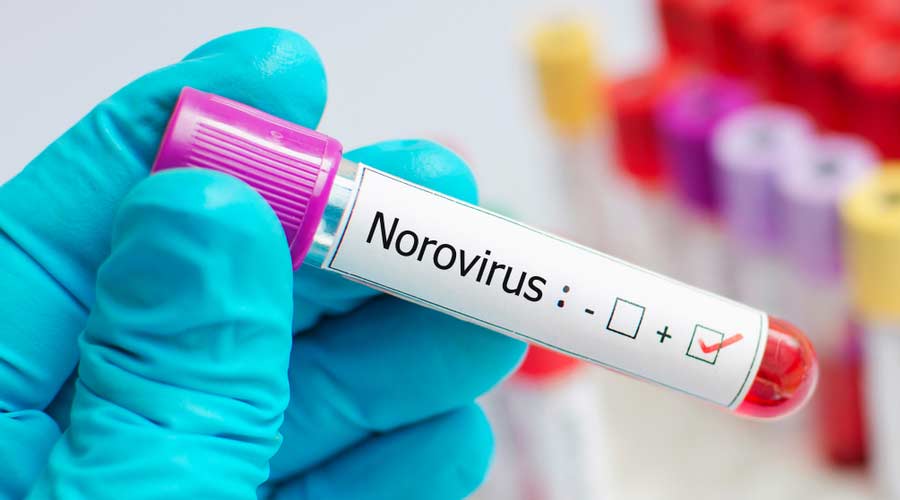 Blood sample positive with Norovirus