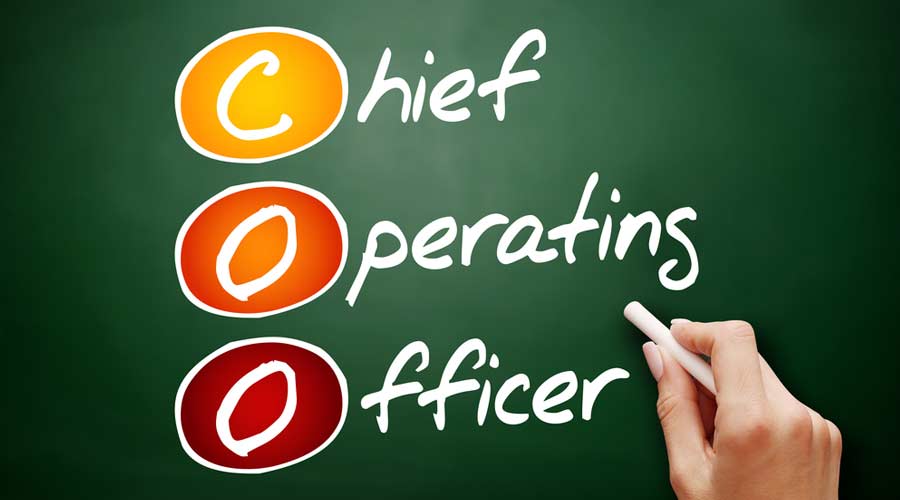 COO on a chalkboard concept