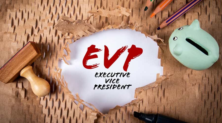 EVP, Executive Vice President. Piggy bank, stamp and colored pencils on torn paper background.