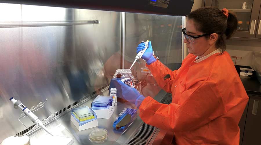 Pilot Chemical Lab