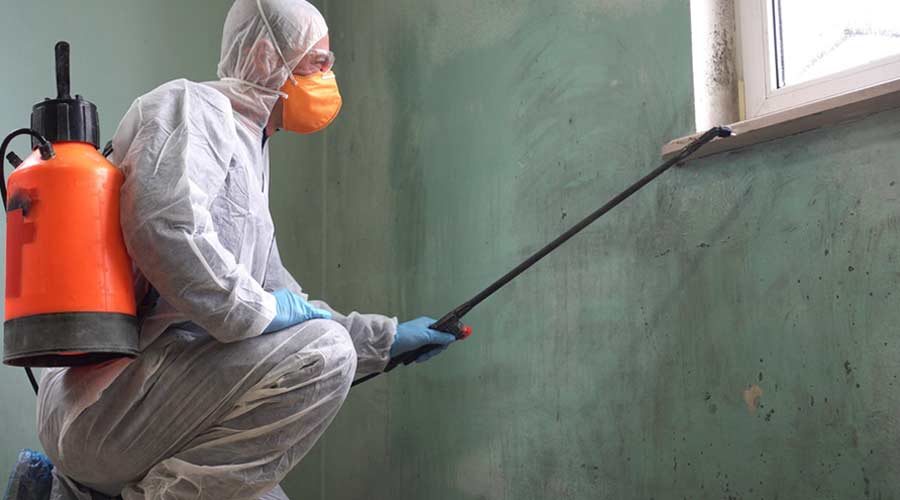 Restoration Chemistry Part 2: Mold Remediation Chemicals, 2020-10-08