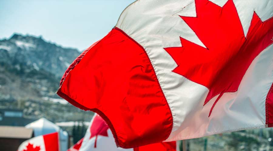 Canada flag concept