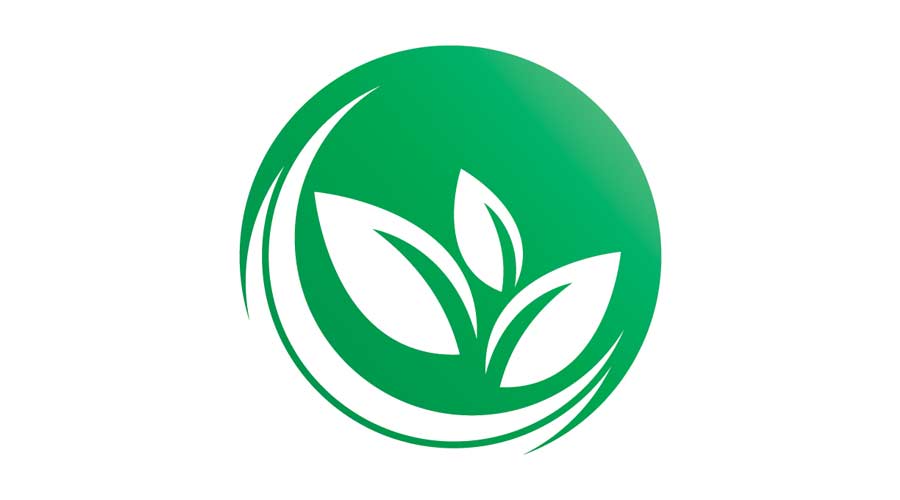 Green environmentalism concept