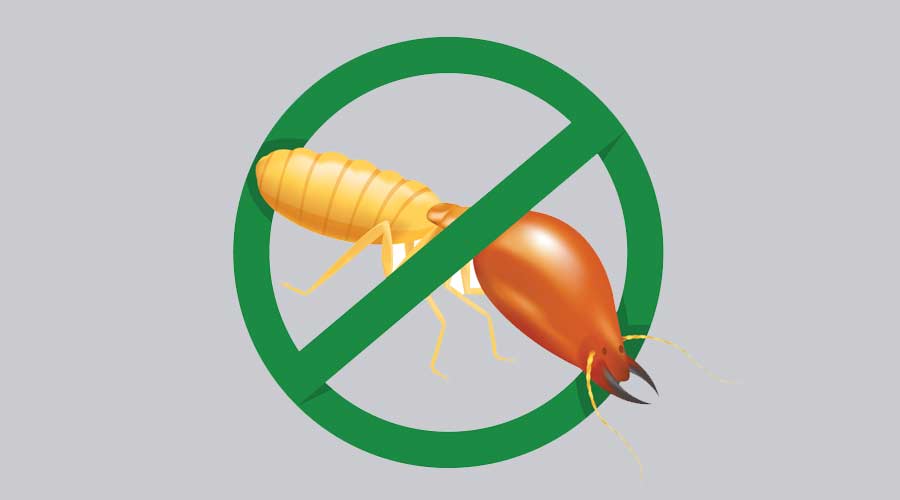 Anti termite vector
