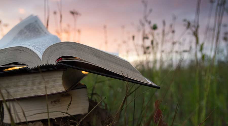 Book club reading outside