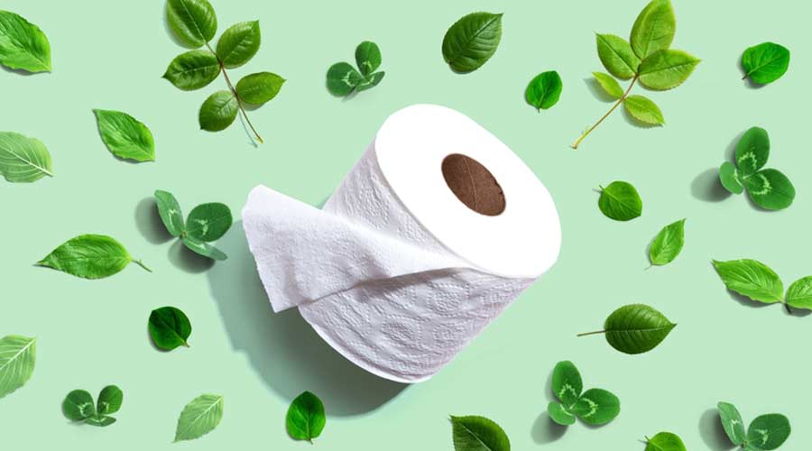A roll of toilet paper with green leaves - flat lay