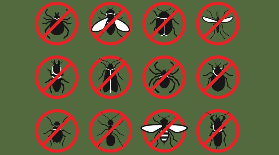 Pest control concept